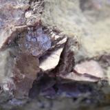 Lepidolita (Grupo Mica)Alvarrões Mine (concession C-8), Seixo Amarelo-Gonçalo-Vela, Guarda, Guarda District, Centro Region, Portugal15cm por 11cm (Autor: canada)