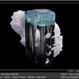 Elbaite var. indicolite (Tourmaline Group)Paprok, Distrito Kamdesh, Provincia Nuristan, Afganistánfov 60 mm (Author: ploum)