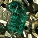 Beryl (variety emerald) and Pyrite<br />Chivor mining district, El Acuario Mine, Municipio Chivor, Eastern Emerald Belt, Boyacá Department, Colombia<br />Detail - xl length=6mm<br /> (Author: Fiebre Verde)