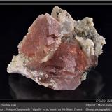 FluoriteAiguille Verte (lado La Charpoua), Mont Blanc, Chamonix, Haute-Savoie, Auvergne-Rhône-Alpes, Franciafov 50 mm (Author: ploum)
