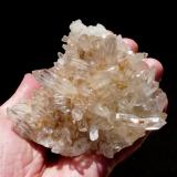 Quartz<br />Ceres, Warmbokkeveld Valley, Ceres, Valle Warmbokkeveld, Witzenberg, Cape Winelands, Western Cape Province, South Africa<br />Hands for size.<br /> (Author: Pierre Joubert)