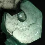 Beryl (variety emerald), Calcite<br />Muzo mining district, La Pava Mine, Quípama, Municipio Muzo, Western Emerald Belt, Boyacá Department, Colombia<br />Emerald crystal = 10mm<br /> (Author: Fiebre Verde)