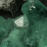 Beryl (variety emerald), Calcite<br />Muzo mining district, La Pava Mine, Quípama, Municipio Muzo, Western Emerald Belt, Boyacá Department, Colombia<br />Emerald crystal = 10mm<br /> (Author: Fiebre Verde)