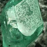 Beryl (variety emerald), Calcite, Pyrite<br />Muzo mining district, La Pava Mine, Quípama, Municipio Muzo, Western Emerald Belt, Boyacá Department, Colombia<br />xl=7mm<br /> (Author: Fiebre Verde)