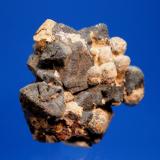 Anatase, Kimzeyite, Magnetite<br />Perovskite Hill, Magnet Cove, Hot Spring County, Arkansas, USA<br />4.0 x 3.5 x 2.0 cm<br /> (Author: Don Lum)