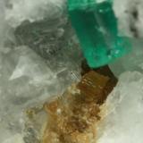 Beryl (variety emerald), Calcite, Parisite<br />Muzo mining district, Western Emerald Belt, Boyacá Department, Colombia<br />FOV=8mm<br /> (Author: Fiebre Verde)