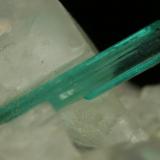 Beryl (variety emerald), Calcite, Pyrite<br />Chivor mining district, Municipio Chivor, Eastern Emerald Belt, Boyacá Department, Colombia<br />xl=10mm<br /> (Author: Fiebre Verde)