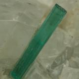 Beryl (variety emerald), Calcite, Pyrite<br />Chivor mining district, Municipio Chivor, Eastern Emerald Belt, Boyacá Department, Colombia<br />xl=10mm<br /> (Author: Fiebre Verde)