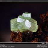 Pyromorphite<br />Mas Dieu, Mercoirol, Alès, Gard, Occitanie, France<br />fov 1.8 mm<br /> (Author: ploum)