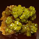 Pyromorphite<br />Bunker Hill Mine, Jersey Vein, 9th level, Bunker Hill properties, Kellogg, Coeur d'Alene District, Shoshone County, Idaho, USA<br />3.7 x 4.7 cm<br /> (Author: crosstimber)