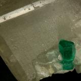 Beryl (variety emerald), Calcite<br />Coscuez mining district, Municipio San Pablo de Borbur, Western Emerald Belt, Boyacá Department, Colombia<br />xl=10mm<br /> (Author: Fiebre Verde)