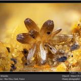 Mimetite<br />Mas Dieu, Mercoirol, Alès, Gard, Occitanie, France<br />fov 1.8 mm<br /> (Author: ploum)