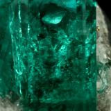 Beryl (variety emerald), Calcite, Pyrite<br />Chivor mining district, El Oriente Mine, Municipio Chivor, Eastern Emerald Belt, Boyacá Department, Colombia<br />xl=13mm<br /> (Author: Fiebre Verde)