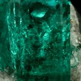 Beryl (variety emerald), Calcite, Pyrite<br />Chivor mining district, El Oriente Mine, Municipio Chivor, Eastern Emerald Belt, Boyacá Department, Colombia<br />xl=13mm<br /> (Author: Fiebre Verde)