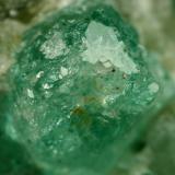 Beryl (variety emerald), Calcite<br />Chivor mining district, Municipio Chivor, Eastern Emerald Belt, Boyacá Department, Colombia<br />xl=10mm<br /> (Author: Fiebre Verde)