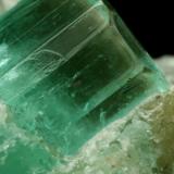 Beryl (variety emerald), Calcite<br />Chivor mining district, Municipio Chivor, Eastern Emerald Belt, Boyacá Department, Colombia<br />xl=10mm<br /> (Author: Fiebre Verde)