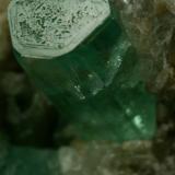 Beryl (variety emerald), Calcite<br />Chivor mining district, Municipio Chivor, Eastern Emerald Belt, Boyacá Department, Colombia<br />xl=10mm<br /> (Author: Fiebre Verde)