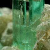 Beryl (variety emerald), Calcite<br />Chivor mining district, Municipio Chivor, Eastern Emerald Belt, Boyacá Department, Colombia<br />xl=10mm<br /> (Author: Fiebre Verde)