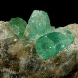 Beryl (variety emerald), Calcite<br />Chivor mining district, Municipio Chivor, Eastern Emerald Belt, Boyacá Department, Colombia<br />Crystals are about 1cm long<br /> (Author: Fiebre Verde)