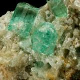 Beryl (variety emerald), Calcite<br />Chivor mining district, Municipio Chivor, Eastern Emerald Belt, Boyacá Department, Colombia<br />Crystals are about 1cm long<br /> (Author: Fiebre Verde)