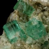 Beryl (variety emerald), Calcite<br />Chivor mining district, Municipio Chivor, Eastern Emerald Belt, Boyacá Department, Colombia<br />Crystals are about 1cm long<br /> (Author: Fiebre Verde)