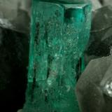 Beryl (variety emerald), Calcite, QuartzLa Pita (distrito minero), Municipio Maripí, Cinturón Esmeraldífero Occidental, Departamento Boyacá, ColombiaEmerald crystal is 11mm long (Author: Fiebre Verde)