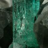 Beryl (variety emerald), Calcite, QuartzLa Pita (distrito minero), Municipio Maripí, Cinturón Esmeraldífero Occidental, Departamento Boyacá, ColombiaEmerald crystal is 11mm long (Author: Fiebre Verde)