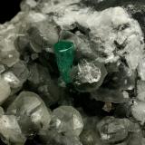 Beryl (variety emerald), Calcite, QuartzLa Pita (distrito minero), Municipio Maripí, Cinturón Esmeraldífero Occidental, Departamento Boyacá, ColombiaEmerald crystal is 11mm long (Author: Fiebre Verde)