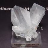 Celestina<br />Concesión Minerama II, Urbanización Puente Tablas, Jaén ciudad, Jaén, Comarca Metropolitana de Jaén, Andalucía, España<br />45x45 mm<br /> (Autor: Ignacio)