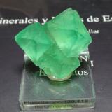 Fluorita<br />Riemvasmaak, Zona Orange river, Kakamas, Distrito ZF Mgcawu, Provincia Septentrional del Cabo, Sudáfrica<br />40x35 mm<br /> (Autor: Ignacio)