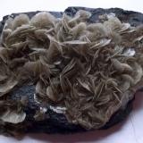 Barita<br />Mines Can Palomeres, Malgrat de Mar, Comarca Maresme, Barcelona, Cataluña / Catalunya, España<br />7 x 4 cm<br /> (Autor: Cristalino)