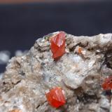 WulfenitaMina Red Cloud, Montes Trigo, Distrito Silver, Condado La Paz, Arizona, USA25x25 mm (Autor: Ignacio)