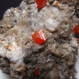 WulfenitaMina Red Cloud, Montes Trigo, Distrito Silver, Condado La Paz, Arizona, USA25x25 mm (Autor: Ignacio)