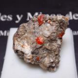 WulfenitaMina Red Cloud, Montes Trigo, Distrito Silver, Condado La Paz, Arizona, USA25x25 mm (Autor: Ignacio)