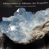 Celestina<br />Madagascar<br />80x50 mm<br /> (Autor: Ignacio)