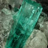 Beryl (variety emerald), Calcite<br />La Pita mining district, Municipio Maripí, Western Emerald Belt, Boyacá Department, Colombia<br />100x50x70mm, largest xl=17mm<br /> (Author: Fiebre Verde)