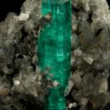 Beryl (variety emerald), Calcite<br />La Pita mining district, Polveros Mine, Municipio Maripí, Western Emerald Belt, Boyacá Department, Colombia<br />37x45mm, xl=34mm<br /> (Author: Fiebre Verde)