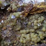 Arsendescloizita y calcita<br />Mina Ojuela, Mapimí, Municipio Mapimí, Durango, México<br />6 x 4 cm<br /> (Autor: Cristalino)