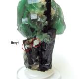 Fluorite, quartz, schorl, beryl (backside)Davib East Farm 61 (Davib Ost Farm), Karibib District, Erongo Region, NamibiaSpecimen height 6,5 cm, fluorite measures 4 cm, quartz 6 cm, largest schorls 6 cm (Author: Tobi)