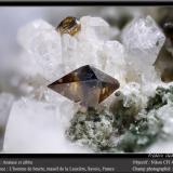 Anatase, albite<br />L'Homme de Beurre, La Lauzière Massif, Saint-Jean-de-Maurienne, Savoie, Auvergne-Rhône-Alpes, France<br />fov 4.5 mm<br /> (Author: ploum)