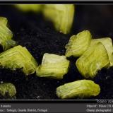 Autunite<br />Sabugal, Guarda District, Centro Region, Portugal<br />fov 4.5 mm<br /> (Author: ploum)