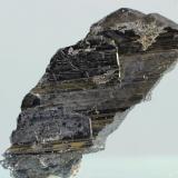 Ferberita<br />Minas da Panasqueira, Aldeia de São Francisco de Assis, Covilhã, Castelo Branco, Cova da Beira, Centro, Portugal<br />27x24 mm<br /> (Autor: Juan Espino)