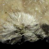 Okenita<br />Cantera Malad, Malad, Mumbai (Bombay), Distrito Mumbai, Maharashtra, India<br />10 x 4,5 x 7 cm.<br /> (Autor: Felipe Abolafia)