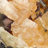 Serandite<br />Poudrette Quarry, Mont Saint-Hilaire, La Vallée-du-Richelieu RCM, Montérégie, Québec, Canada<br />FOV = 4mm<br /> (Author: Doug)