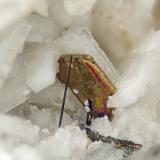 pyrrhotite<br />Poudrette Quarry, Mont Saint-Hilaire, La Vallée-du-Richelieu RCM, Montérégie, Québec, Canada<br />FOV = 4mm<br /> (Author: Doug)
