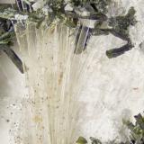 Tainoiolite<br />Poudrette Quarry, Mont Saint-Hilaire, La Vallée-du-Richelieu RCM, Montérégie, Québec, Canada<br />FOV = 4mm<br /> (Author: Doug)