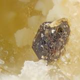 Steenstrupine-(Ce)<br />Poudrette Quarry, Mont Saint-Hilaire, La Vallée-du-Richelieu RCM, Montérégie, Québec, Canada<br />FOV = 2mm<br /> (Author: Doug)