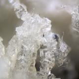 Fluorite, Elpidite<br />Poudrette Quarry, Mont Saint-Hilaire, La Vallée-du-Richelieu RCM, Montérégie, Québec, Canada<br />FOV = 2mm<br /> (Author: Doug)