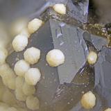 Epididymite, Quartz<br />Poudrette Quarry, Mont Saint-Hilaire, La Vallée-du-Richelieu RCM, Montérégie, Québec, Canada<br />FOV = 2mm<br /> (Author: Doug)