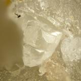 Chkalovite<br />Poudrette Quarry, Mont Saint-Hilaire, La Vallée-du-Richelieu RCM, Montérégie, Québec, Canada<br />FOV = 2mm<br /> (Author: Doug)